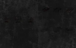 Graefe und Unzer Verlag Grillparty & Picknick-Weber's Diamond Edition