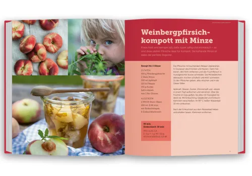 Weck - das Original Einkochbuch*Weck Verlag Hot