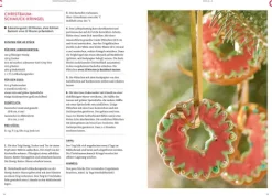 Dr. Oetker - ein Verlag der Edel Verlagsgruppe Weihnachten Kochen & Backen-Weihnachtsbacken von A-Z