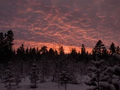 Christian Verlag GmbH Weihnachten Kochen & Backen*Weihnachtszeit in Lappland