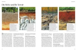 ZS Verlag Wein & Getränke*Wein - Die große Schule