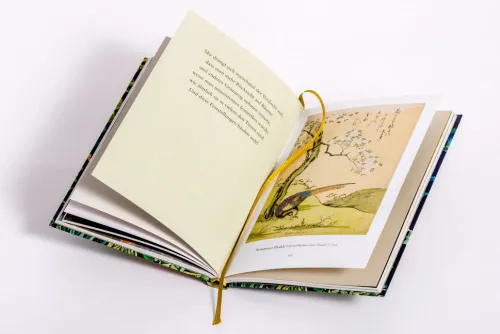 Ludwig Verlag Weisheiten*Weisheiten aus 'Das geheime Leben der Bäume'