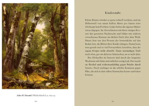 Ludwig Verlag Weisheiten*Weisheiten aus 'Das geheime Leben der Bäume'