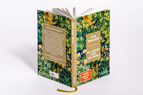 Ludwig Verlag Weisheiten*Weisheiten aus 'Das geheime Leben der Bäume'