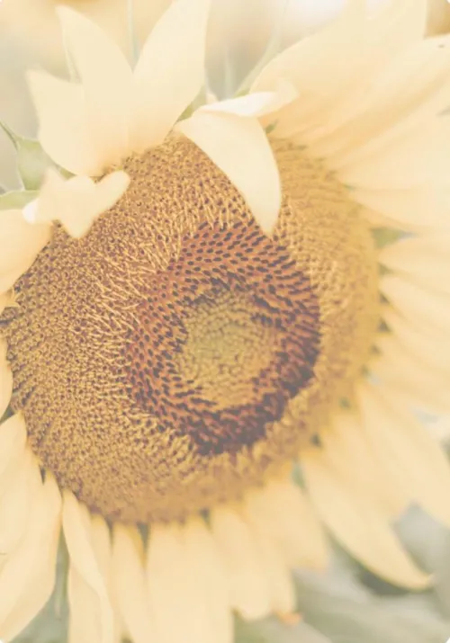 Weisheiten für die Seele*Ars Edition GmbH Online