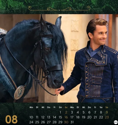 Heye Postkartenkalender-Wicked Postkartenkalender 2026