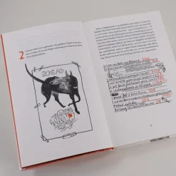 Carl Hanser Verlag Lgbtqia+ Jugendbücher*Wie der Wahnsinn mir die Welt erklärte