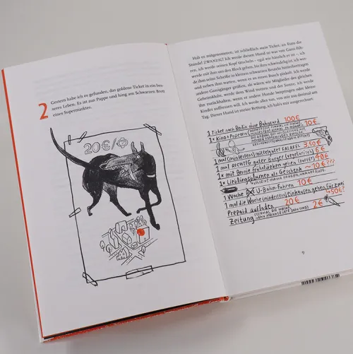 Carl Hanser Verlag Lgbtqia+ Jugendbücher*Wie der Wahnsinn mir die Welt erklärte