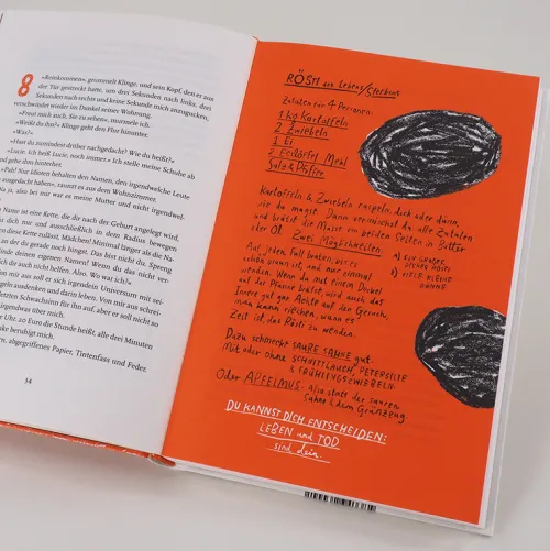 Carl Hanser Verlag Lgbtqia+ Jugendbücher*Wie der Wahnsinn mir die Welt erklärte