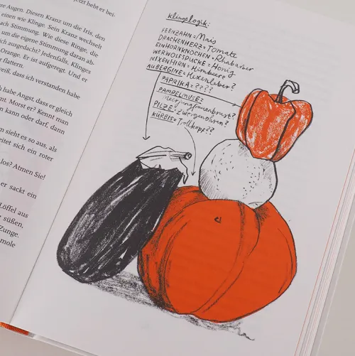 Carl Hanser Verlag Lgbtqia+ Jugendbücher*Wie der Wahnsinn mir die Welt erklärte