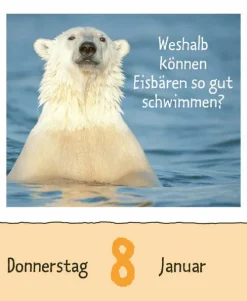 Korsch Verlag GmbH Abreiß-Kalender-Wie faul ist das Faultier? 2026