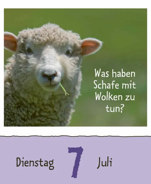 Korsch Verlag GmbH Abreiß-Kalender-Wie faul ist das Faultier? 2026