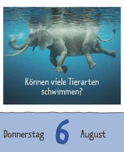Korsch Verlag GmbH Abreiß-Kalender-Wie faul ist das Faultier? 2026