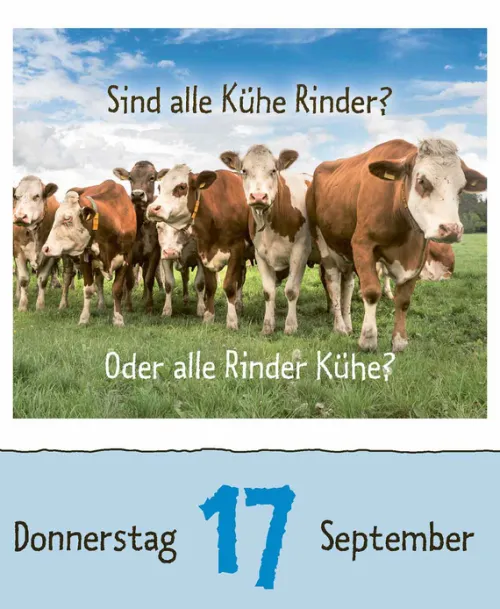 Korsch Verlag GmbH Abreiß-Kalender-Wie faul ist das Faultier? 2026