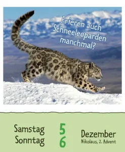 Korsch Verlag GmbH Abreiß-Kalender-Wie faul ist das Faultier? 2026