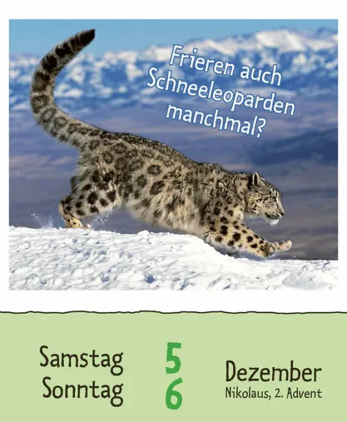 Korsch Verlag GmbH Abreiß-Kalender-Wie faul ist das Faultier? 2026