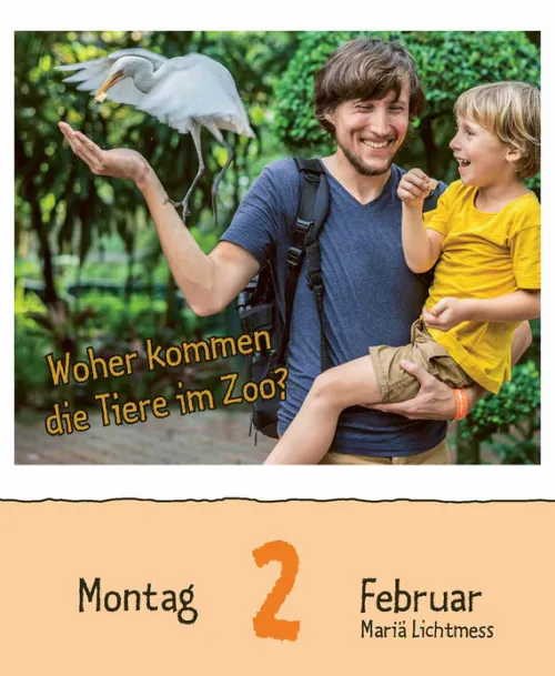 Korsch Verlag GmbH Abreiß-Kalender-Wie faul ist das Faultier? 2026