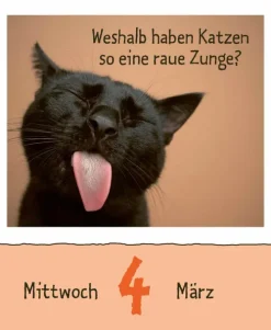 Korsch Verlag GmbH Abreiß-Kalender-Wie faul ist das Faultier? 2026