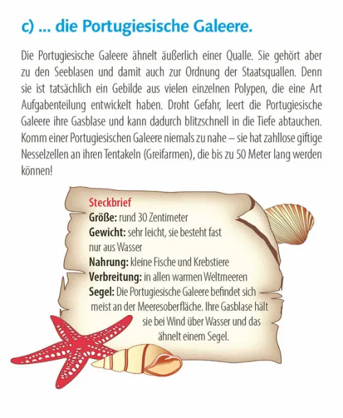 Korsch Verlag GmbH Abreiß-Kalender-Wie faul ist das Faultier? 2026