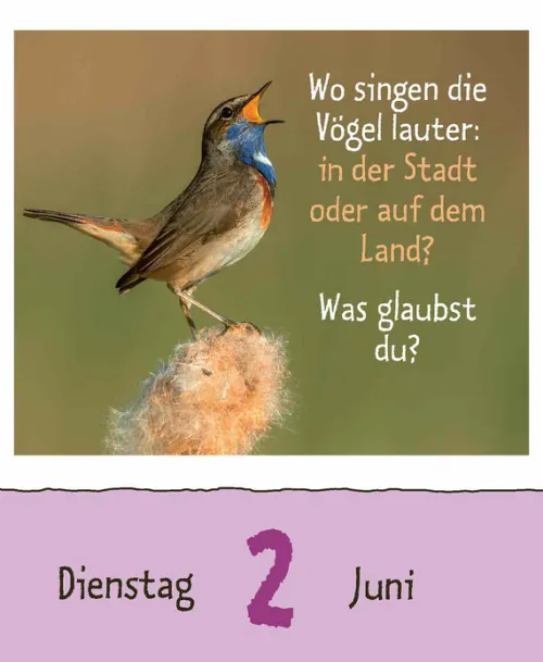 Korsch Verlag GmbH Abreiß-Kalender-Wie faul ist das Faultier? 2026