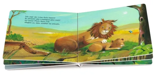 Wie kleine Tiere schlafen gehen*Oetinger Discount