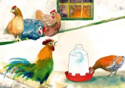 Don Bosco Medien GmbH Hobby & Lifestyle-Wie lebt das Huhn? Kamishibai Bildkartenset.