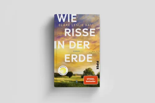 Piper Verlag GmbH Familiensagas*Wie Risse in der Erde