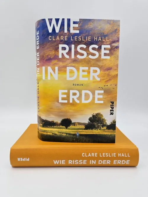 Piper Verlag GmbH Familiensagas*Wie Risse in der Erde