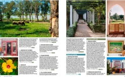 Haffmans & Tolkemitt Wandern & Radfahren|Camping-Wild Guide Marokko