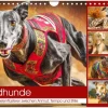 Calvendo Wandkalender*Windhunde. Seelenflüsterer zwischen Anmut, Tempo und Stille (Wandkalender 2026 DIN A4 quer), Monatskalender