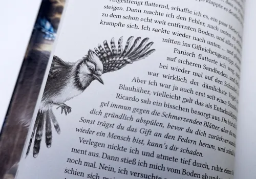 Arena Verlag GmbH 10-12 Jahre*Windwalkers (1). Verborgene Flügel