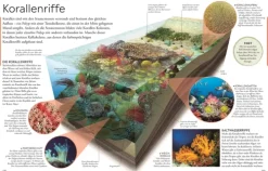 Kinder Dorling Kindersley Verlag 6-10 Jahre-Wissen für clevere Kids. Ozeane für clevere Kids