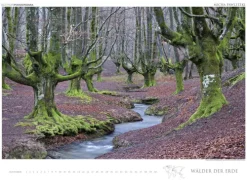 Edition Panorama GmbH Immerwährender Kalender-WÄLDER DER ERDE