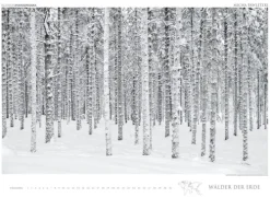 Edition Panorama GmbH Immerwährender Kalender-WÄLDER DER ERDE