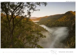 Edition Panorama GmbH Immerwährender Kalender-WÄLDER DER ERDE