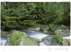 Edition Panorama GmbH Immerwährender Kalender-WÄLDER DER ERDE