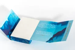 heartlines Biografische Romane*Wo der Sturm uns findet - Based on René's Story