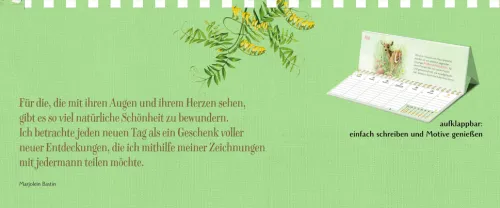 Coppenrath Geburtstagskalender*Wochenkalender 2027 - gelb