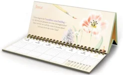 Coppenrath Geburtstagskalender*Wochenkalender 2027 - gelb