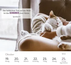 Wochenkalender 2026: Kluge Katzen*Groh Verlag Discount