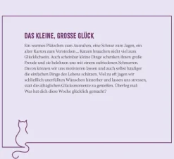 Wochenkalender 2026: Kluge Katzen*Groh Verlag Discount