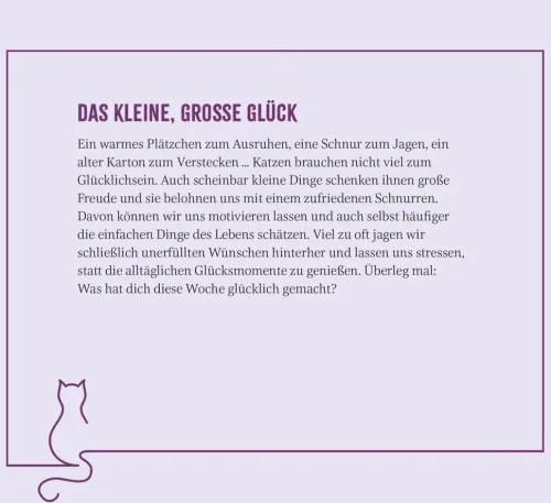 Wochenkalender 2026: Kluge Katzen*Groh Verlag Discount