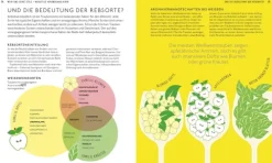 Dorling Kindersley Verlag Wein & Getränke-Workshop Wein