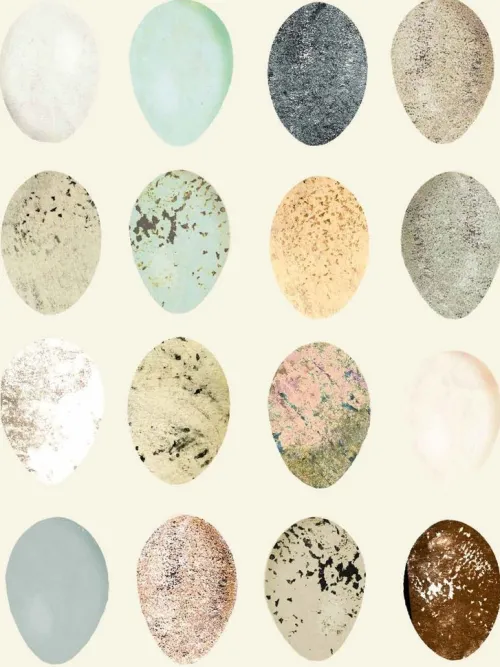 Wunderbare Natur*Prestel Verlag