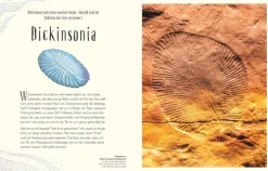 Dorling Kindersley Verlag 6-10 Jahre*Wundervolle Welt der Dinosaurier und der Urzeit