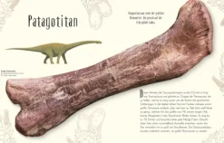 Dorling Kindersley Verlag 6-10 Jahre*Wundervolle Welt der Dinosaurier und der Urzeit