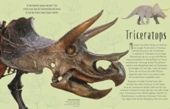 Dorling Kindersley Verlag 6-10 Jahre*Wundervolle Welt der Dinosaurier und der Urzeit