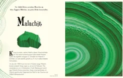 Wundervolle Welt der Natur*Dorling Kindersley Verlag