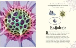 Wundervolle Welt der Natur*Dorling Kindersley Verlag