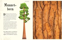 Wundervolle Welt der Natur*Dorling Kindersley Verlag